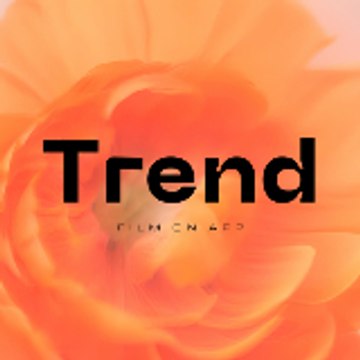 Film on Trending 2