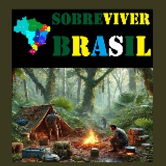 Sobre Viver Brasil