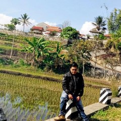 Buchepp Handsome