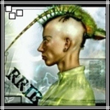 RRib