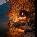 Nature's Hut