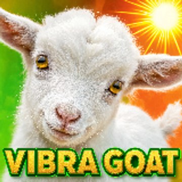 VIBRA GOAT