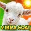 VIBRA GOAT . Spanish Short