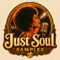 Just Soul Samples