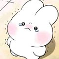 Mèo