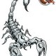 scorpion83720