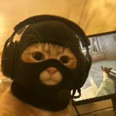 CS2MetaMan