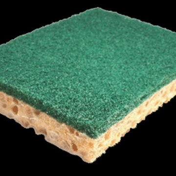 Sponge