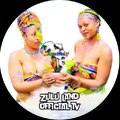 Zland Discovery Group