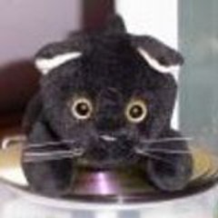 kuroi-neko