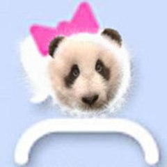 pandarush