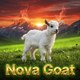 NOVA GOAT