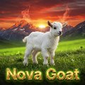 NOVA GOAT