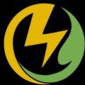 VSS POWER ENGINEERING SERVICES LTD.