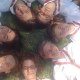 FSJ2C