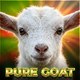 PURE GOAT