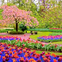 Archana Singh Archana Singh Holly Springs