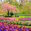 Archana Singh Archana Singh Holly Springs