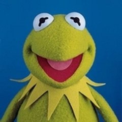 kermit29