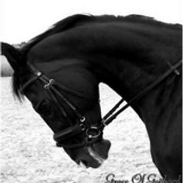 Grace1999