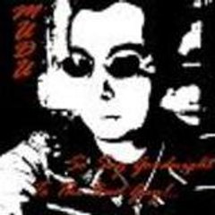VeilSide_TR