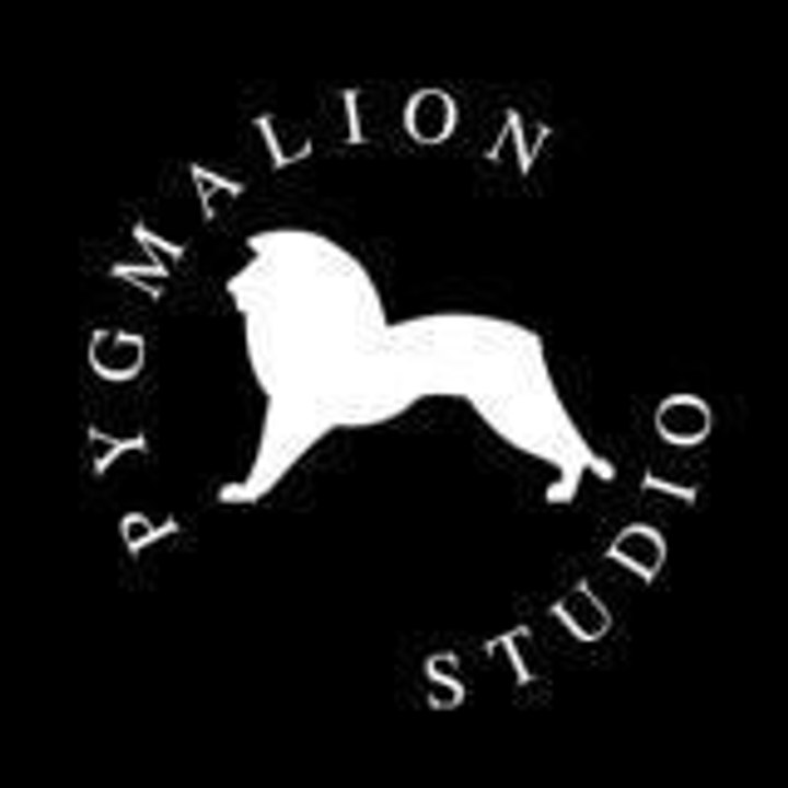 Dailymotion profile picture for @AUDITIONS