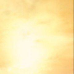 account_cannot_be_deleted
