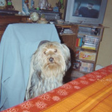 polluxounet
