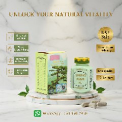 GinSeng Kianpi Pil Dubai