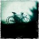 Thibault P.
