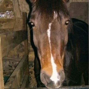 Ghislaine