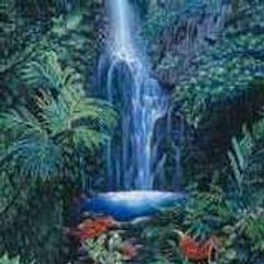 linepapeete