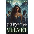 VelvetNarrative