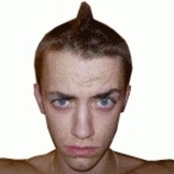 Gizmo_091