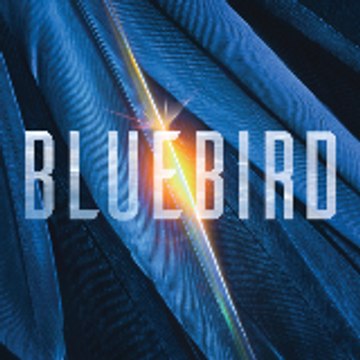 BluebirdChronicles