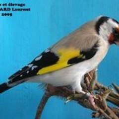 didou13700