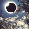 EclipseNarratives