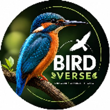 birdverseofficial