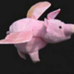 cochonzaile