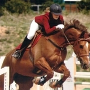 carnouxteam