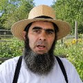 Amish Gardening