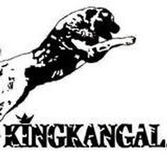 kangal