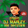 EQUIPE TRIBOS REGGAE