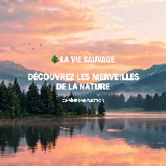 la vie sauvage