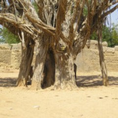 Nionry Traore