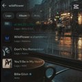 My Playlist