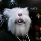 The_WhiteRabbit