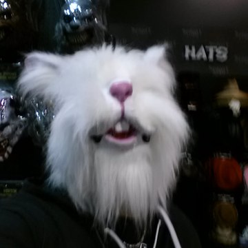The_WhiteRabbit