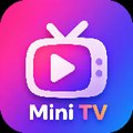 Mini TV