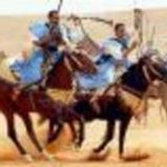 sahraoui95